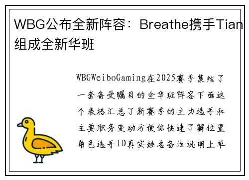 WBG公布全新阵容：Breathe携手Tian组成全新华班